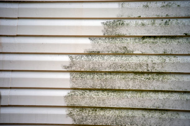 Best Insulated Siding Installation  in Elwood, UT